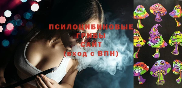 spice Алексеевка