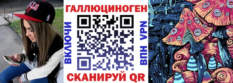 Псилоцибиновые грибы Cubensis  где найти   Гаджиево 